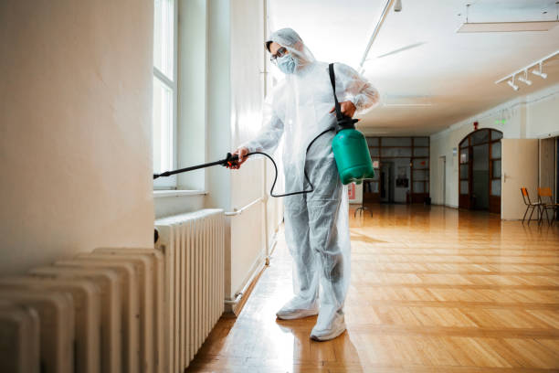 Best Organic or Eco-Friendly Pest Control  in Burnham, IL